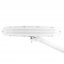 LAMPA WARSZTATOWA LED ELEGANTE 801-TL Z IMADEŁKIEM REG. NATĘŻENIE I BARWA ŚWIATŁA WHITE