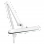 LAMPA WARSZTATOWA LED ELEGANTE 801-S Z IMADEŁKIEM STANDARD WHITE