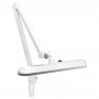 LAMPA WARSZTATOWA LED ELEGANTE 801-S Z IMADEŁKIEM STANDARD WHITE