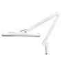 LAMPA WARSZTATOWA LED ELEGANTE 801-S Z IMADEŁKIEM STANDARD WHITE