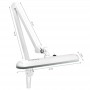 LAMPA WARSZTATOWA LED ELEGANTE 801-S Z IMADEŁKIEM STANDARD WHITE