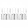 KESSNER LAB Prebiotic ampułki do skóry głowy i włosów 10 x 10 ml