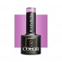 OCHO NAILS Lakier hybrydowy rainbow R07 -5 g
