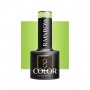 OCHO NAILS Lakier hybrydowy rainbow R09 -5 g