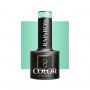 OCHO NAILS Lakier hybrydowy rainbow R10 -5 g