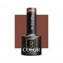 OCHO NAILS Lakier hybrydowy autumn A05 -5 g